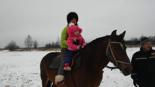 Обучение верховой езде в Муроме. Сервис Ultra Подарки. Купить обучение верховой езде в Муроме. Вы сможете попробовать курс по верховой езде и конные прогулки. Сервис UltraPodarki.ru 8 800 505 95 30. Обучение верховой езде, верховая езда в Муроме, верховая езда Муром, конный спорт, уроки верховой езды, школа верховой езды, конные прогулки, верховая езда, школа верховой езды в Муроме, конные прогулки в Муроме, обучение верховой езде в Муроме, конный спорт в Муроме, уроки верховой езды в Муроме