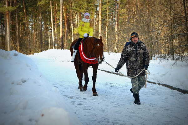 Обучение верховой езде в Муроме. Сервис Ultra Подарки. Купить обучение верховой езде в Муроме. Вы сможете попробовать курс по верховой езде и конные прогулки. Сервис UltraPodarki.ru 8 800 505 95 30. Обучение верховой езде, верховая езда в Муроме, верховая езда Муром, конный спорт, уроки верховой езды, школа верховой езды, конные прогулки, верховая езда, школа верховой езды в Муроме, конные прогулки в Муроме, обучение верховой езде в Муроме, конный спорт в Муроме, уроки верховой езды в Муроме