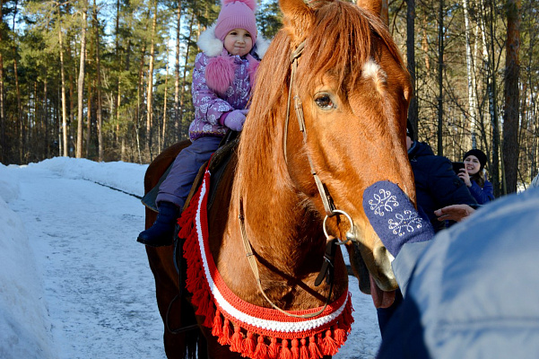 Обучение верховой езде в Муроме. Сервис Ultra Подарки. Купить обучение верховой езде в Муроме. Вы сможете попробовать курс по верховой езде и конные прогулки. Сервис UltraPodarki.ru 8 800 505 95 30. Обучение верховой езде, верховая езда в Муроме, верховая езда Муром, конный спорт, уроки верховой езды, школа верховой езды, конные прогулки, верховая езда, школа верховой езды в Муроме, конные прогулки в Муроме, обучение верховой езде в Муроме, конный спорт в Муроме, уроки верховой езды в Муроме