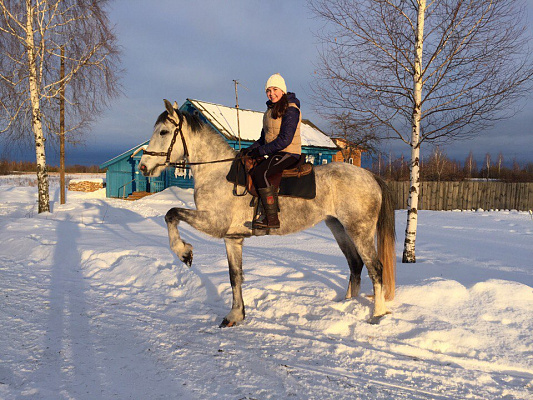 Обучение верховой езде в Муроме. Сервис Ultra Подарки. Купить обучение верховой езде в Муроме. Вы сможете попробовать курс по верховой езде и конные прогулки. Сервис UltraPodarki.ru 8 800 505 95 30. Обучение верховой езде, верховая езда в Муроме, верховая езда Муром, конный спорт, уроки верховой езды, школа верховой езды, конные прогулки, верховая езда, школа верховой езды в Муроме, конные прогулки в Муроме, обучение верховой езде в Муроме, конный спорт в Муроме, уроки верховой езды в Муроме