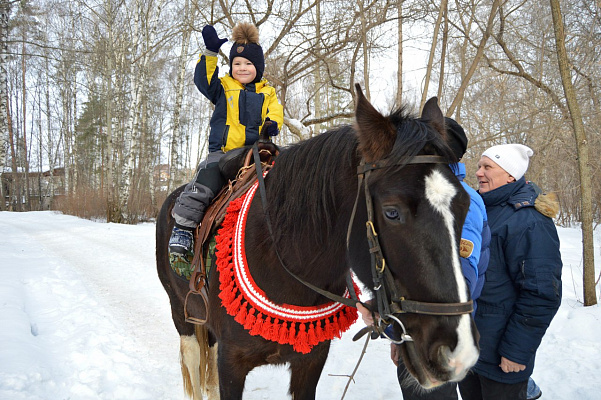 Обучение верховой езде в Муроме. Сервис Ultra Подарки. Купить обучение верховой езде в Муроме. Вы сможете попробовать курс по верховой езде и конные прогулки. Сервис UltraPodarki.ru 8 800 505 95 30. Обучение верховой езде, верховая езда в Муроме, верховая езда Муром, конный спорт, уроки верховой езды, школа верховой езды, конные прогулки, верховая езда, школа верховой езды в Муроме, конные прогулки в Муроме, обучение верховой езде в Муроме, конный спорт в Муроме, уроки верховой езды в Муроме