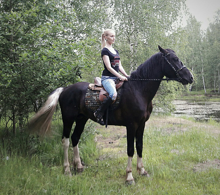 Обучение верховой езде в Муроме. Сервис Ultra Подарки. Купить обучение верховой езде в Муроме. Вы сможете попробовать курс по верховой езде и конные прогулки. Сервис UltraPodarki.ru 8 800 505 95 30. Обучение верховой езде, верховая езда в Муроме, верховая езда Муром, конный спорт, уроки верховой езды, школа верховой езды, конные прогулки, верховая езда, школа верховой езды в Муроме, конные прогулки в Муроме, обучение верховой езде в Муроме, конный спорт в Муроме, уроки верховой езды в Муроме