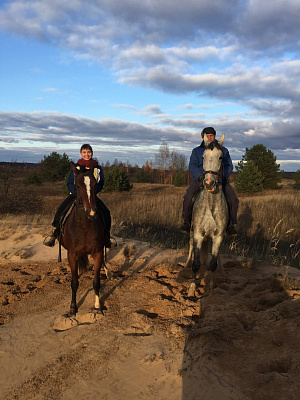 Обучение верховой езде в Муроме. Сервис Ultra Подарки. Купить обучение верховой езде в Муроме. Вы сможете попробовать курс по верховой езде и конные прогулки. Сервис UltraPodarki.ru 8 800 505 95 30. Обучение верховой езде, верховая езда в Муроме, верховая езда Муром, конный спорт, уроки верховой езды, школа верховой езды, конные прогулки, верховая езда, школа верховой езды в Муроме, конные прогулки в Муроме, обучение верховой езде в Муроме, конный спорт в Муроме, уроки верховой езды в Муроме