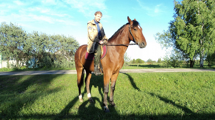 Обучение верховой езде в Муроме. Сервис Ultra Подарки. Купить обучение верховой езде в Муроме. Вы сможете попробовать курс по верховой езде и конные прогулки. Сервис UltraPodarki.ru 8 800 505 95 30. Обучение верховой езде, верховая езда в Муроме, верховая езда Муром, конный спорт, уроки верховой езды, школа верховой езды, конные прогулки, верховая езда, школа верховой езды в Муроме, конные прогулки в Муроме, обучение верховой езде в Муроме, конный спорт в Муроме, уроки верховой езды в Муроме