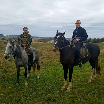 Обучение верховой езде в Муроме. Сервис Ultra Подарки. Купить обучение верховой езде в Муроме. Вы сможете попробовать курс по верховой езде и конные прогулки. Сервис UltraPodarki.ru 8 800 505 95 30. Обучение верховой езде, верховая езда в Муроме, верховая езда Муром, конный спорт, уроки верховой езды, школа верховой езды, конные прогулки, верховая езда, школа верховой езды в Муроме, конные прогулки в Муроме, обучение верховой езде в Муроме, конный спорт в Муроме, уроки верховой езды в Муроме