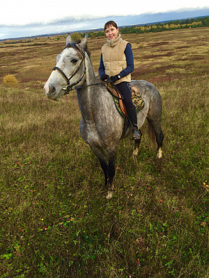 Обучение верховой езде в Муроме. Сервис Ultra Подарки. Купить обучение верховой езде в Муроме. Вы сможете попробовать курс по верховой езде и конные прогулки. Сервис UltraPodarki.ru 8 800 505 95 30. Обучение верховой езде, верховая езда в Муроме, верховая езда Муром, конный спорт, уроки верховой езды, школа верховой езды, конные прогулки, верховая езда, школа верховой езды в Муроме, конные прогулки в Муроме, обучение верховой езде в Муроме, конный спорт в Муроме, уроки верховой езды в Муроме