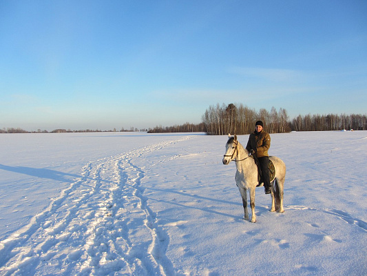 Обучение верховой езде в Муроме. Сервис Ultra Подарки. Купить обучение верховой езде в Муроме. Вы сможете попробовать курс по верховой езде и конные прогулки. Сервис UltraPodarki.ru 8 800 505 95 30. Обучение верховой езде, верховая езда в Муроме, верховая езда Муром, конный спорт, уроки верховой езды, школа верховой езды, конные прогулки, верховая езда, школа верховой езды в Муроме, конные прогулки в Муроме, обучение верховой езде в Муроме, конный спорт в Муроме, уроки верховой езды в Муроме