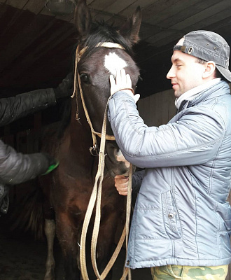 Обучение верховой езде в Муроме. Сервис Ultra Подарки. Купить обучение верховой езде в Муроме. Вы сможете попробовать курс по верховой езде и конные прогулки. Сервис UltraPodarki.ru 8 800 505 95 30. Обучение верховой езде, верховая езда в Муроме, верховая езда Муром, конный спорт, уроки верховой езды, школа верховой езды, конные прогулки, верховая езда, школа верховой езды в Муроме, конные прогулки в Муроме, обучение верховой езде в Муроме, конный спорт в Муроме, уроки верховой езды в Муроме