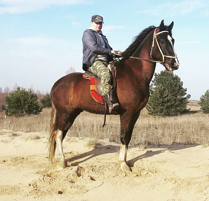Обучение верховой езде в Муроме. Сервис Ultra Подарки. Купить обучение верховой езде в Муроме. Вы сможете попробовать курс по верховой езде и конные прогулки. Сервис UltraPodarki.ru 8 800 505 95 30. Обучение верховой езде, верховая езда в Муроме, верховая езда Муром, конный спорт, уроки верховой езды, школа верховой езды, конные прогулки, верховая езда, школа верховой езды в Муроме, конные прогулки в Муроме, обучение верховой езде в Муроме, конный спорт в Муроме, уроки верховой езды в Муроме