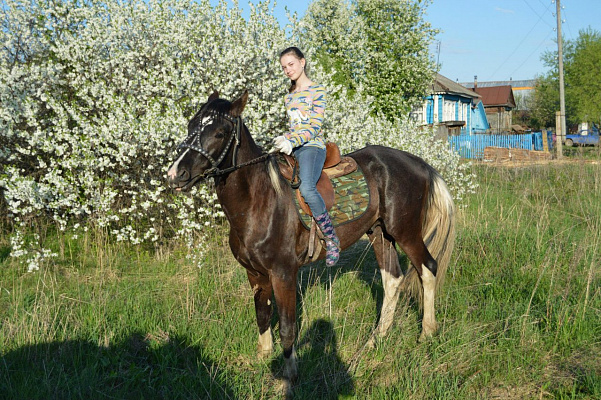 Обучение верховой езде в Муроме. Сервис Ultra Подарки. Купить обучение верховой езде в Муроме. Вы сможете попробовать курс по верховой езде и конные прогулки. Сервис UltraPodarki.ru 8 800 505 95 30. Обучение верховой езде, верховая езда в Муроме, верховая езда Муром, конный спорт, уроки верховой езды, школа верховой езды, конные прогулки, верховая езда, школа верховой езды в Муроме, конные прогулки в Муроме, обучение верховой езде в Муроме, конный спорт в Муроме, уроки верховой езды в Муроме