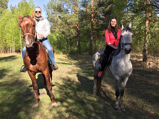 Обучение верховой езде в Муроме. Сервис Ultra Подарки. Купить обучение верховой езде в Муроме. Вы сможете попробовать курс по верховой езде и конные прогулки. Сервис UltraPodarki.ru 8 800 505 95 30. Обучение верховой езде, верховая езда в Муроме, верховая езда Муром, конный спорт, уроки верховой езды, школа верховой езды, конные прогулки, верховая езда, школа верховой езды в Муроме, конные прогулки в Муроме, обучение верховой езде в Муроме, конный спорт в Муроме, уроки верховой езды в Муроме