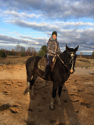 Обучение верховой езде в Муроме. Сервис Ultra Подарки. Купить обучение верховой езде в Муроме. Вы сможете попробовать курс по верховой езде и конные прогулки. Сервис UltraPodarki.ru 8 800 505 95 30. Обучение верховой езде, верховая езда в Муроме, верховая езда Муром, конный спорт, уроки верховой езды, школа верховой езды, конные прогулки, верховая езда, школа верховой езды в Муроме, конные прогулки в Муроме, обучение верховой езде в Муроме, конный спорт в Муроме, уроки верховой езды в Муроме